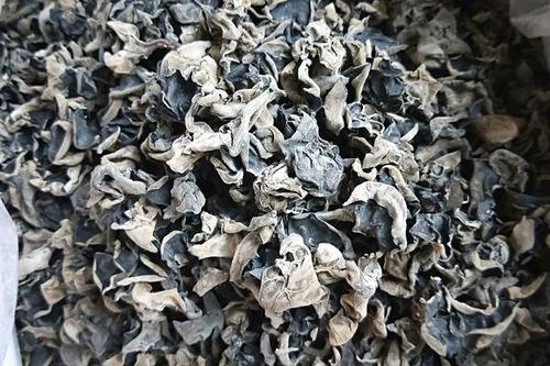 凍干的木耳 凍干的木耳