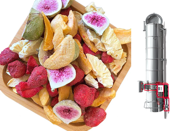 水果凍干機
