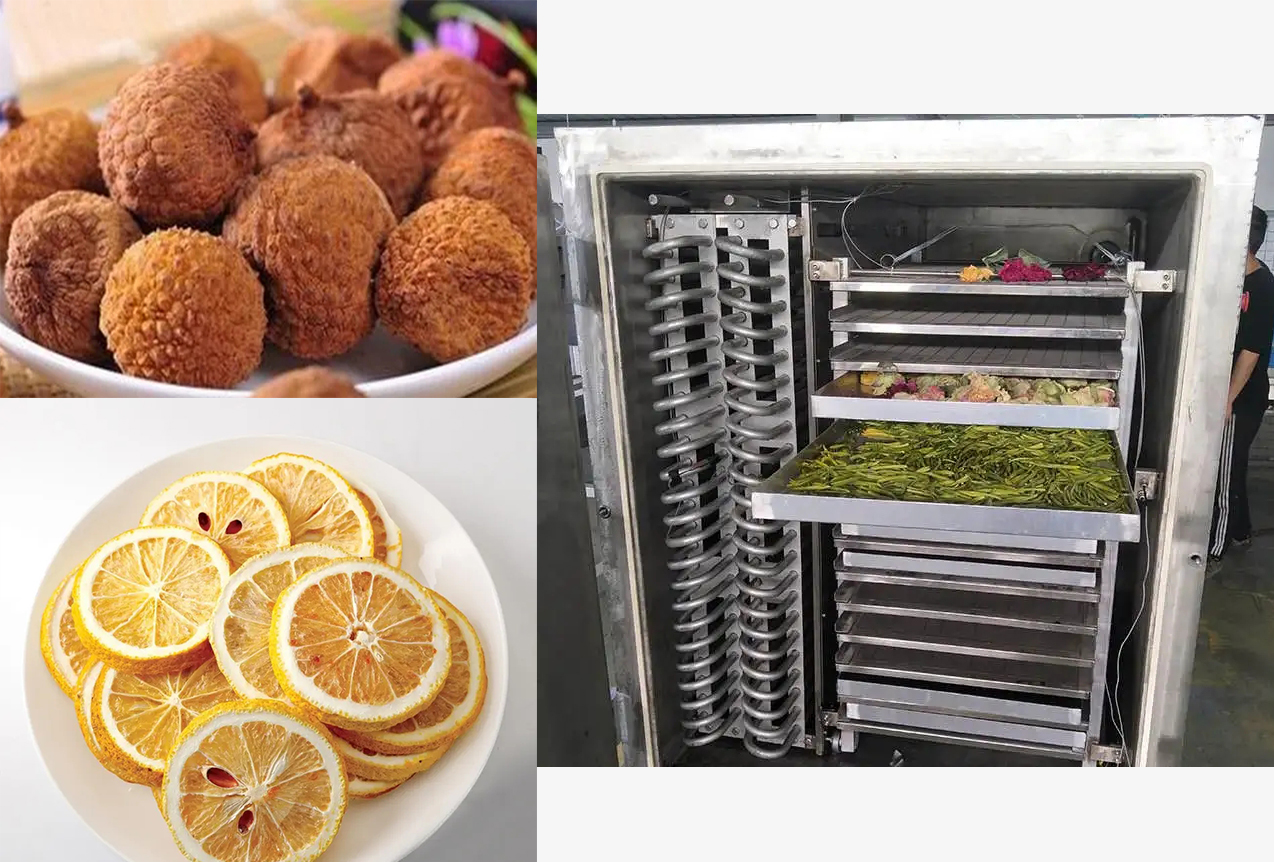 水果凍干機(jī)