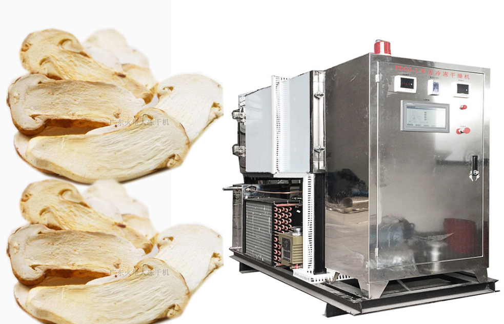 松茸食品凍干機(jī)